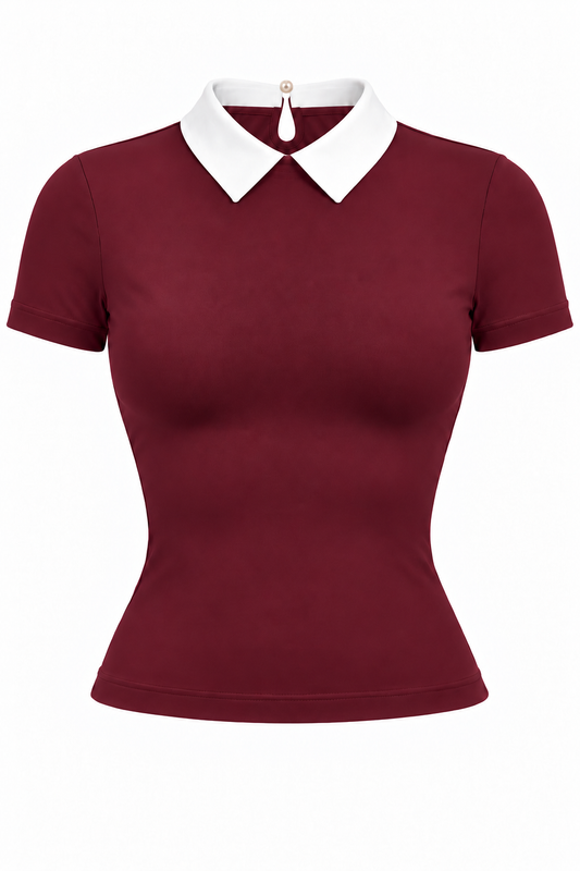 The Erudite Top